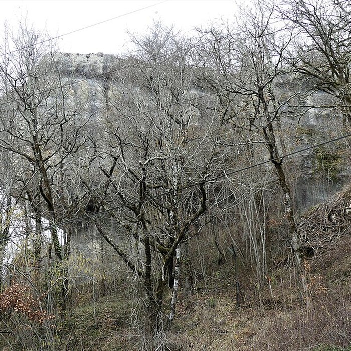 Photo de Gisement préhistorique du Fourneau du Diable à Bourdeilles