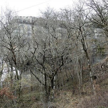 Gisement préhistorique du Fourneau du Diable à Bourdeilles