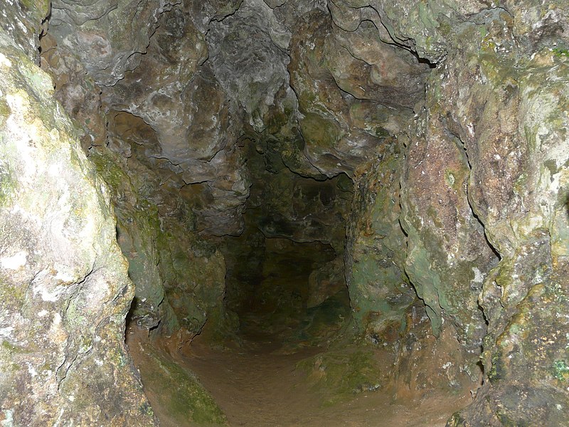 Gisement préhistorique du Ruth à Tursac