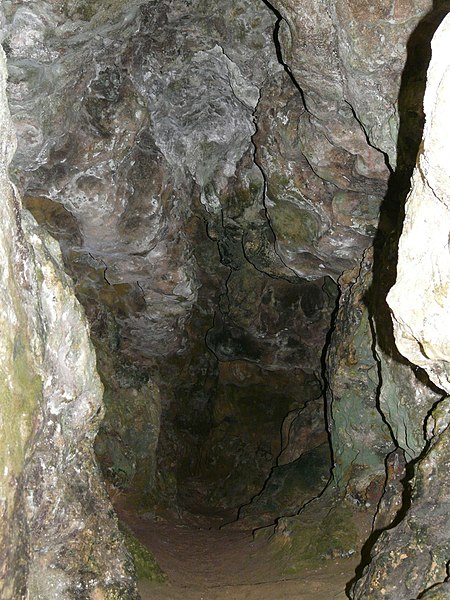 Gisement préhistorique du Ruth à Tursac