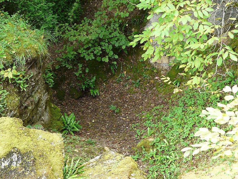 Gisement préhistorique du Ruth à Tursac