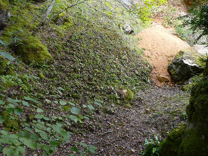 Gisement préhistorique du Ruth à Tursac