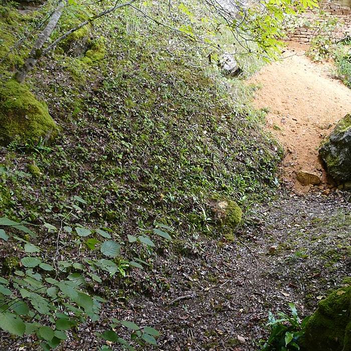 Photo de Gisement préhistorique du Ruth à Tursac