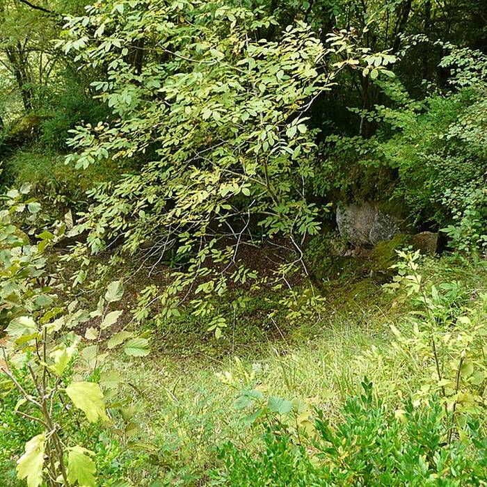 Photo de Gisement préhistorique du Ruth à Tursac