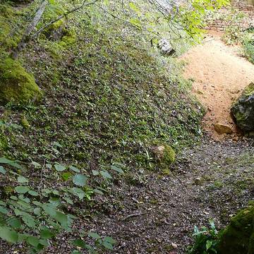 Gisement préhistorique du Ruth à Tursac