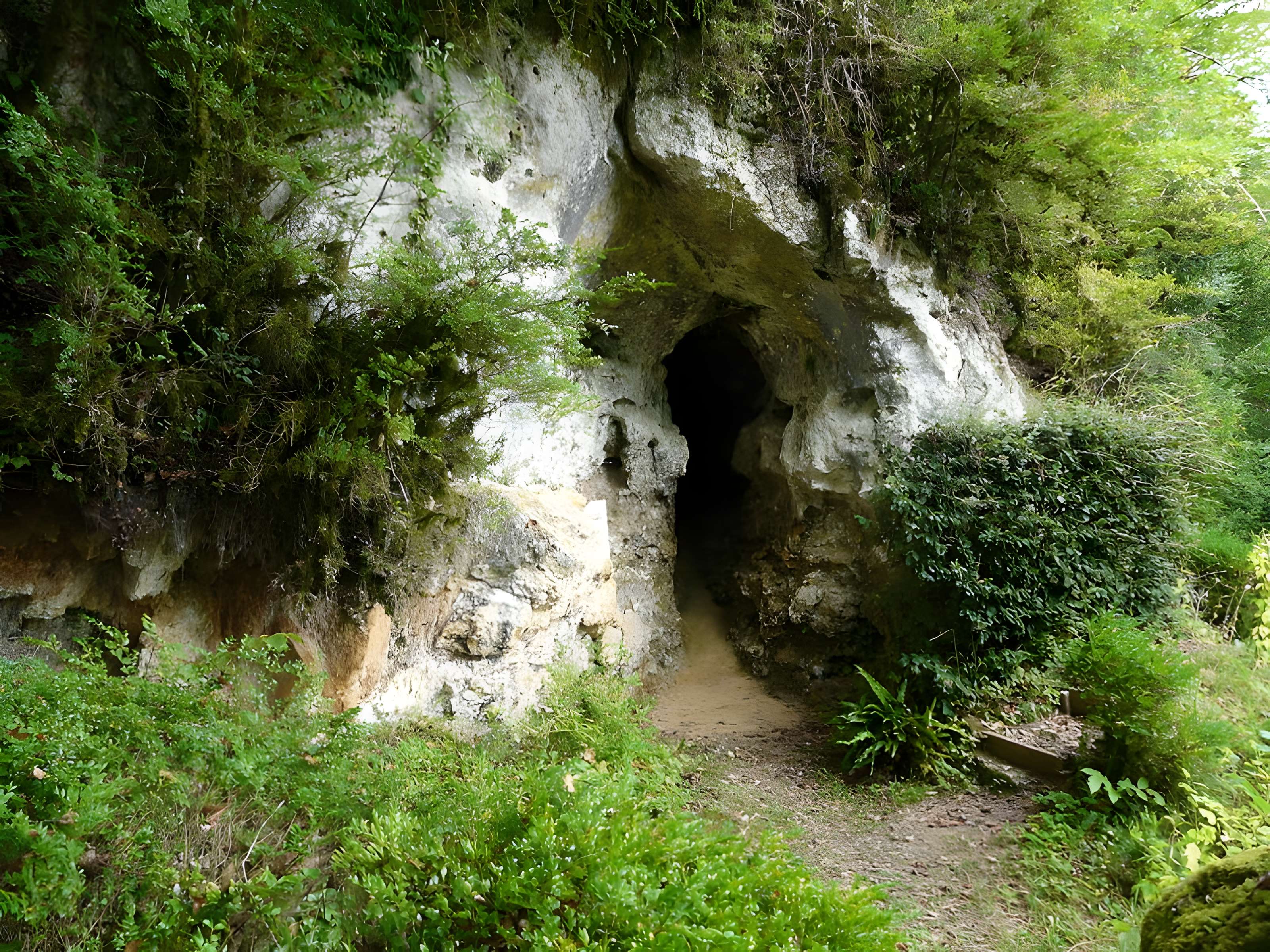 Gisement préhistorique du Ruth à Tursac 