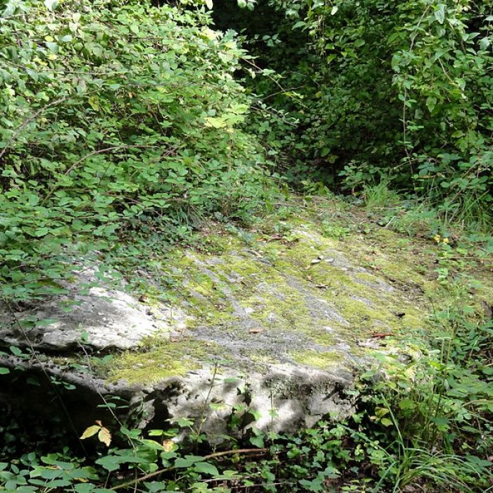 Photo de Grande Pierre de Jouy à Jouy-le-Moutier