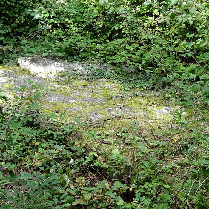 Photo de Grande Pierre de Jouy à Jouy-le-Moutier