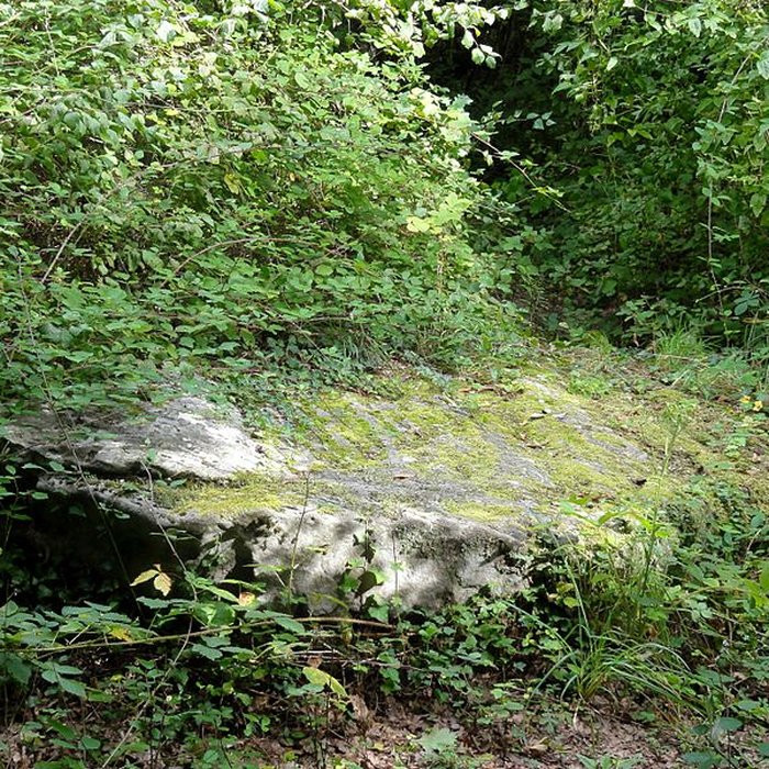 Photo de Grande Pierre de Jouy à Jouy-le-Moutier