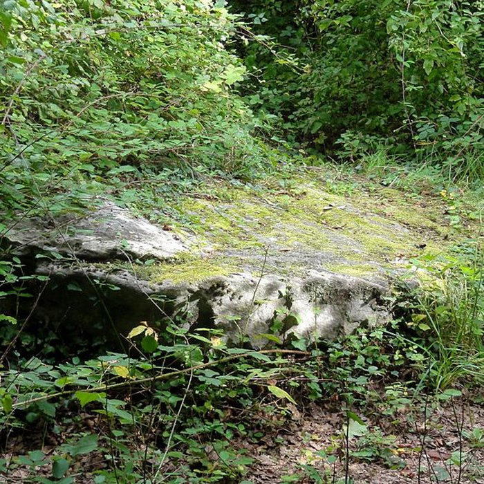 Photo de Grande Pierre de Jouy à Jouy-le-Moutier