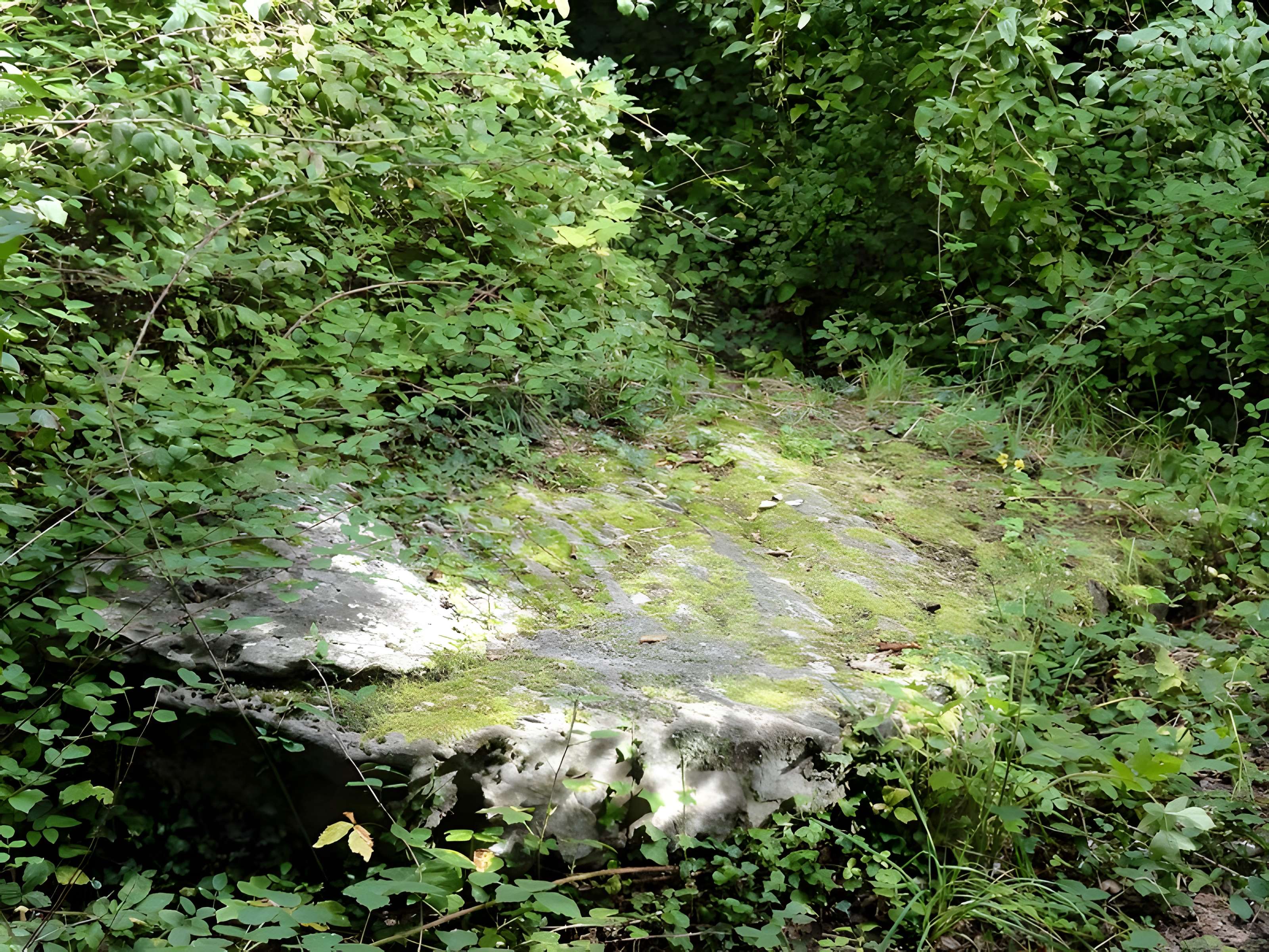 Grande Pierre de Jouy à Jouy-le-Moutier 