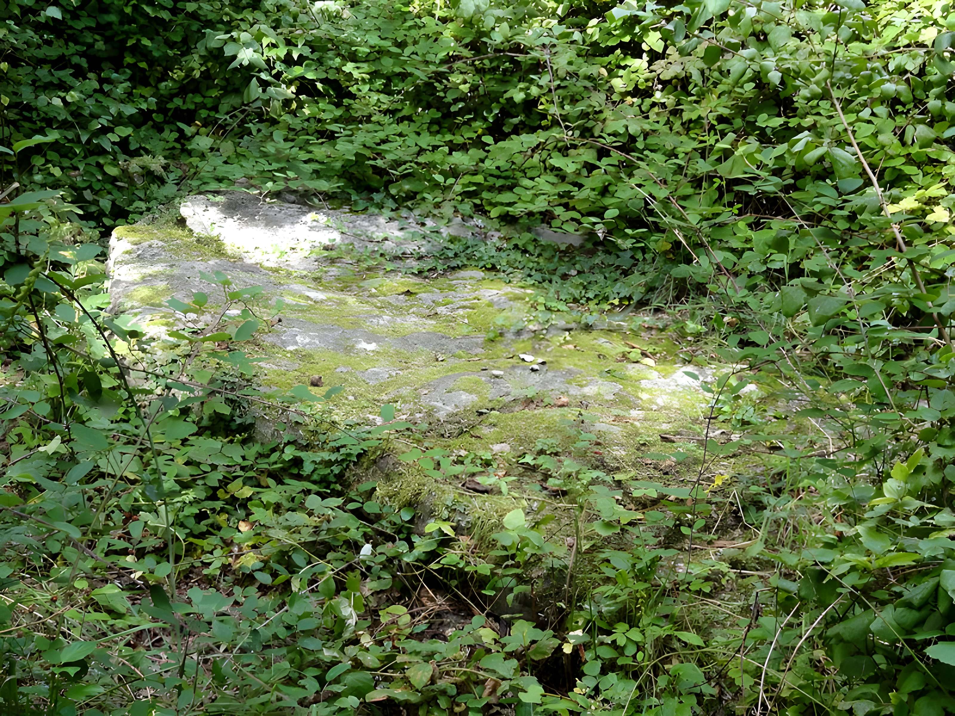 Grande Pierre de Jouy à Jouy-le-Moutier