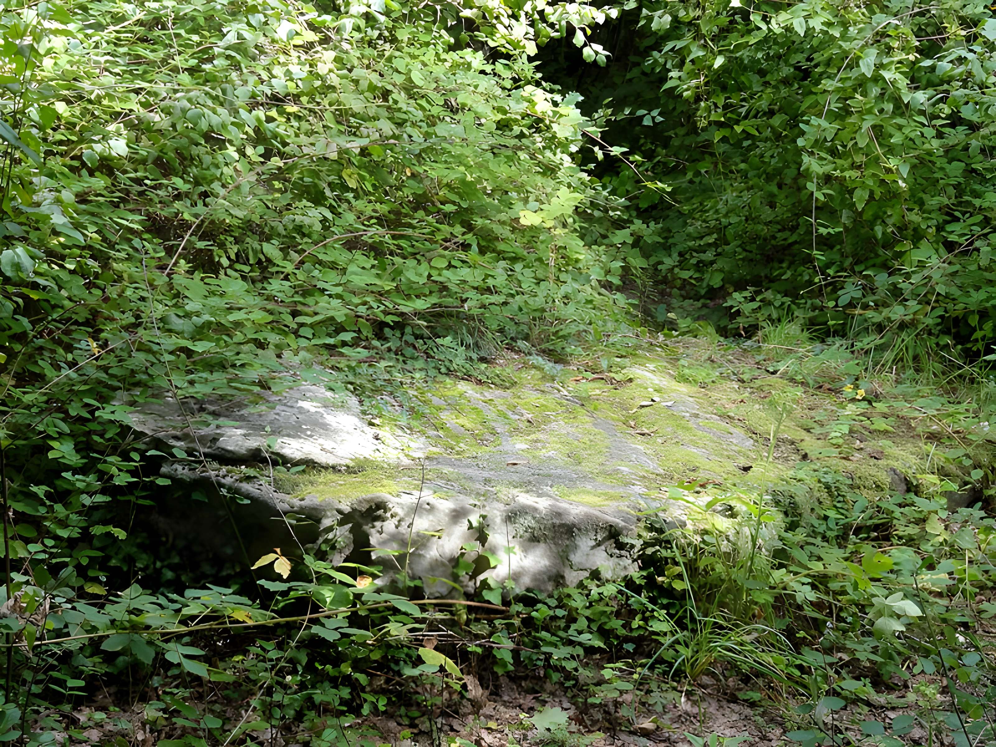 Grande Pierre de Jouy à Jouy-le-Moutier