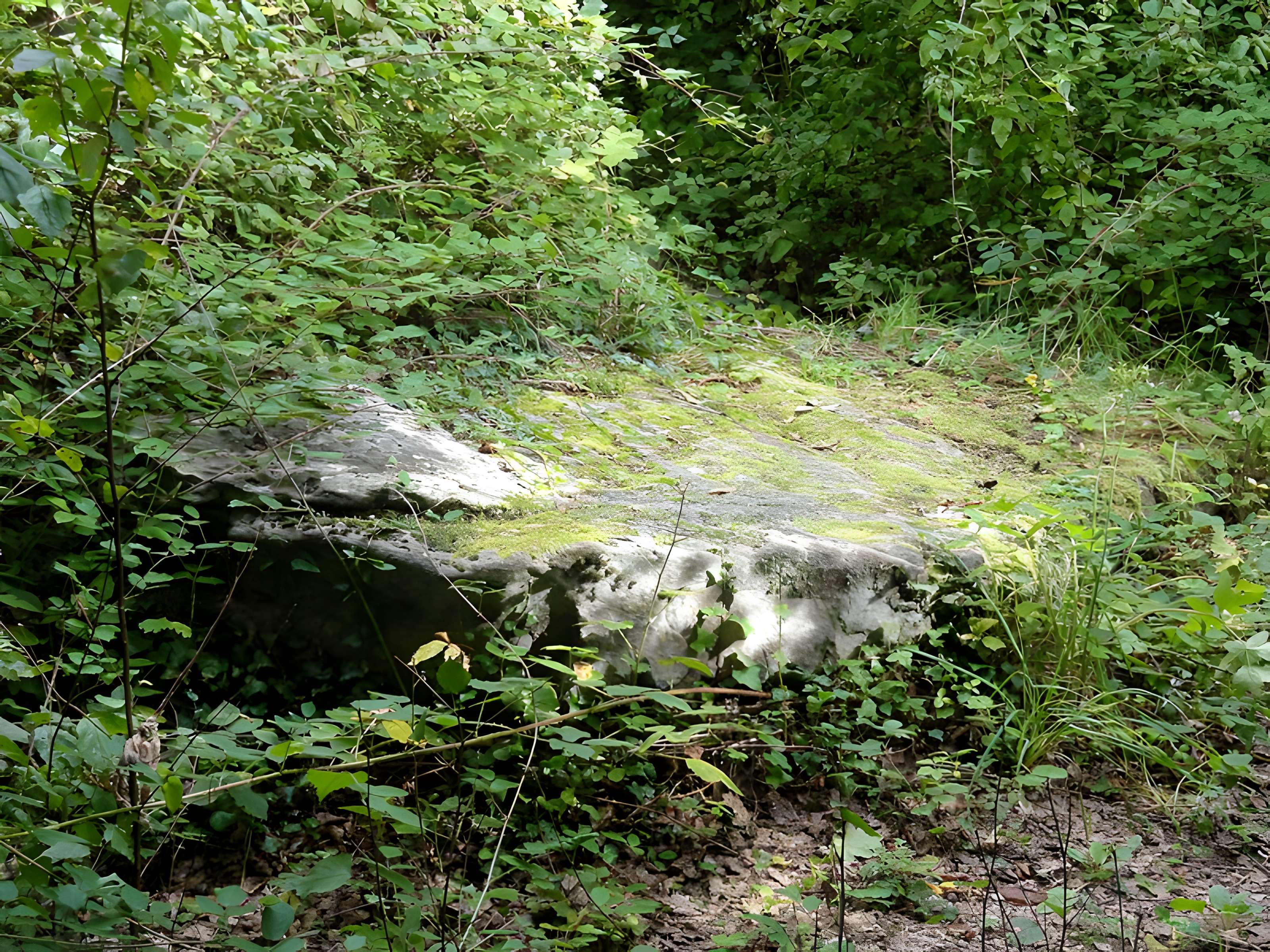Grande Pierre de Jouy à Jouy-le-Moutier