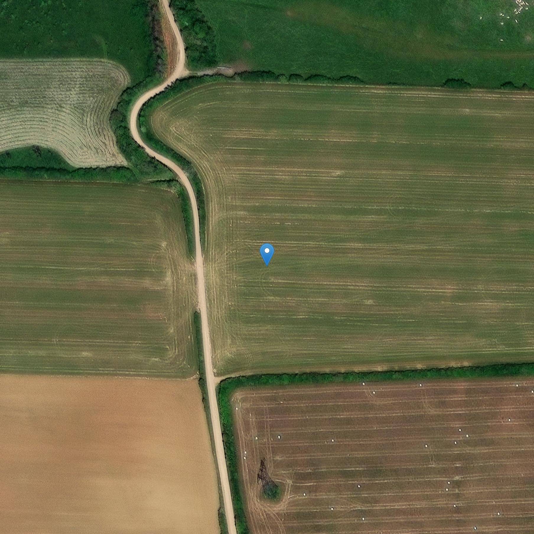 Photo de グランジ・デュ・サート・デ・トリウ