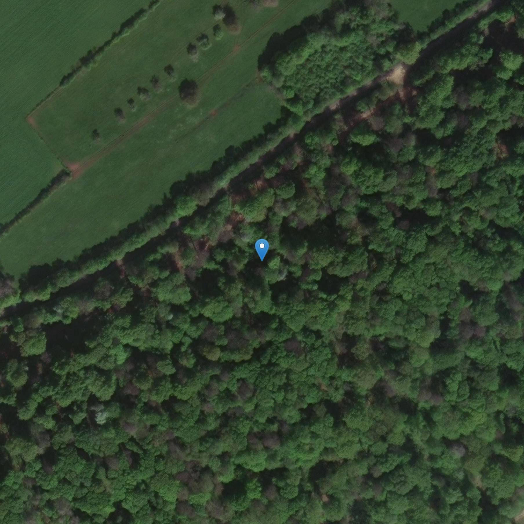 Photo de モナスティック・バーン・オブ・プロイリー