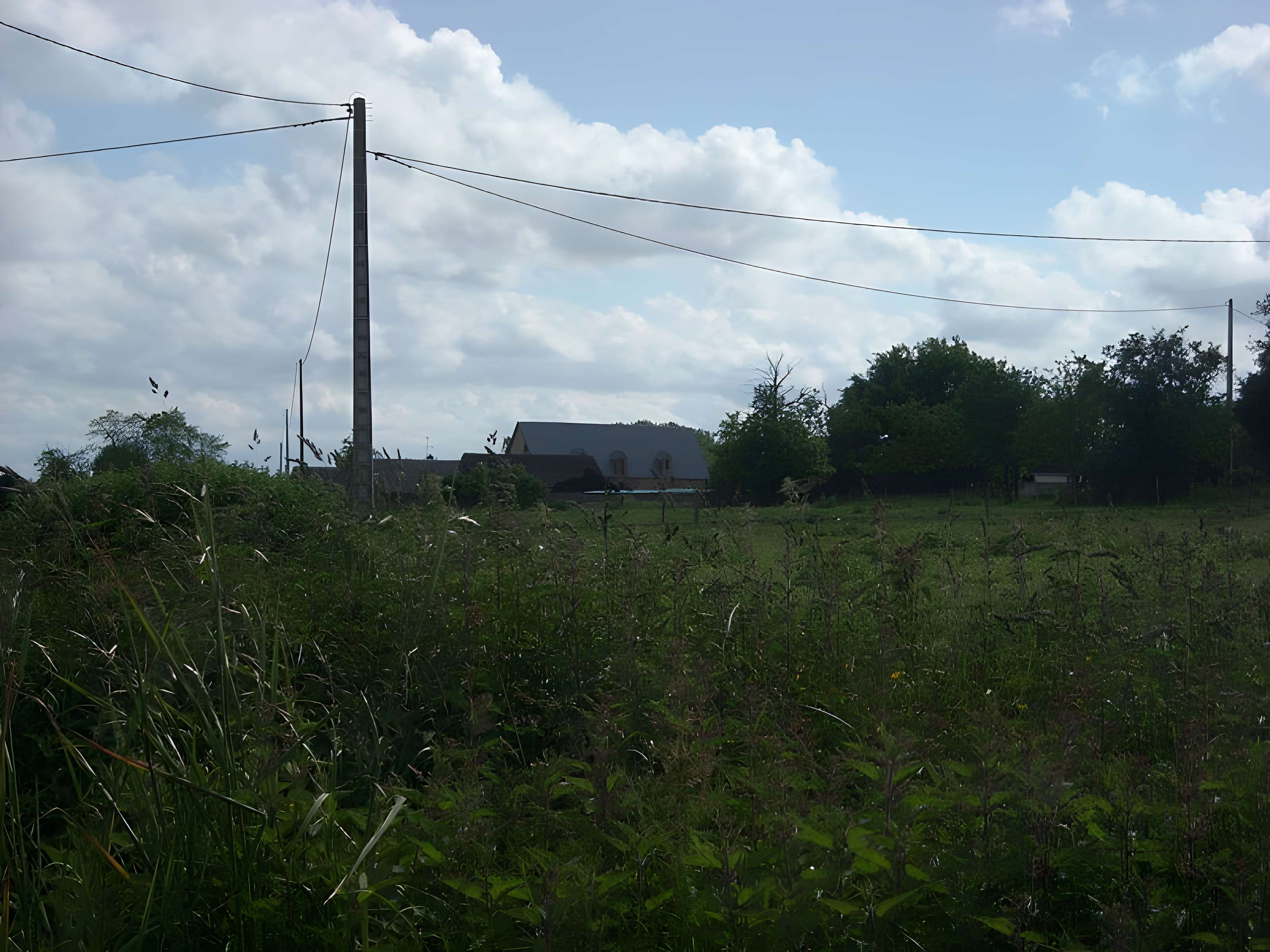 Grange seigneuriale de Chéripeau à Ampoigné 