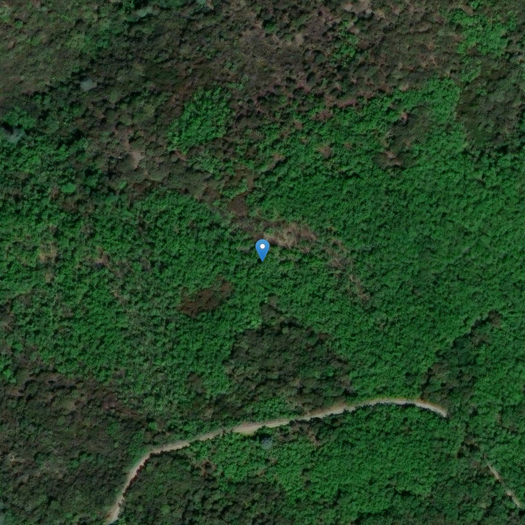 Photo de 在奥拉尔盖斯的Peiro escrito