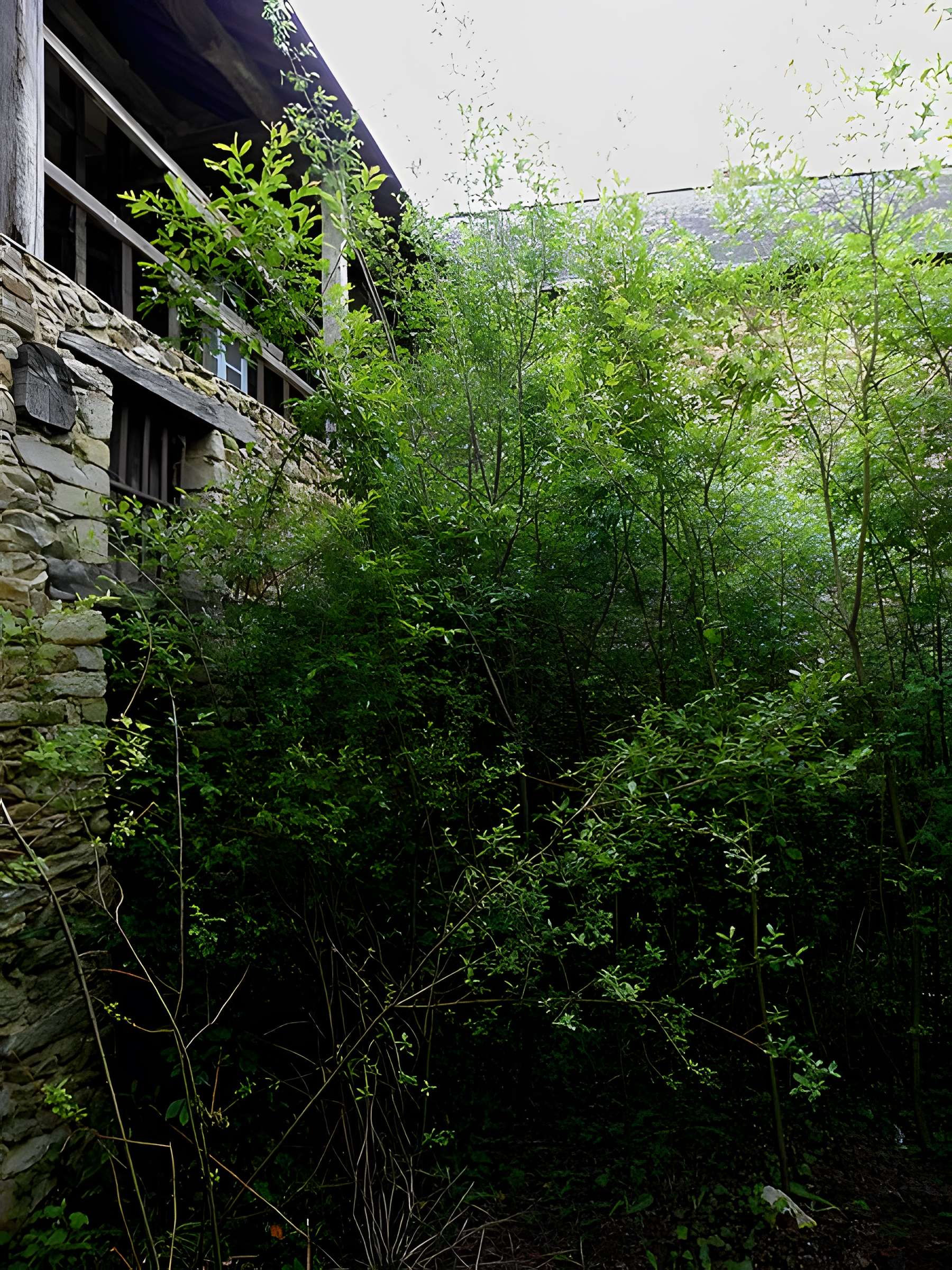 Grenier à sel de Craon