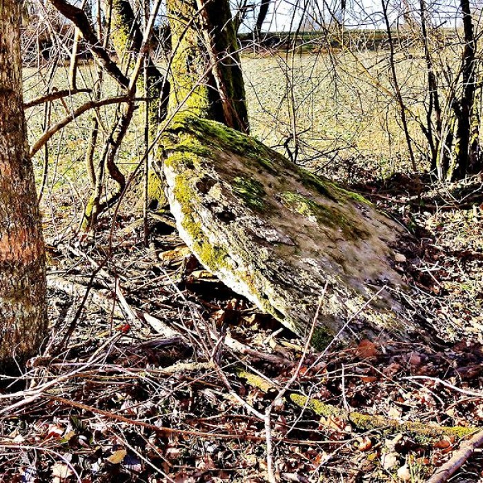 Photo de Grosse Pierre dÉchenoz-le-Sec