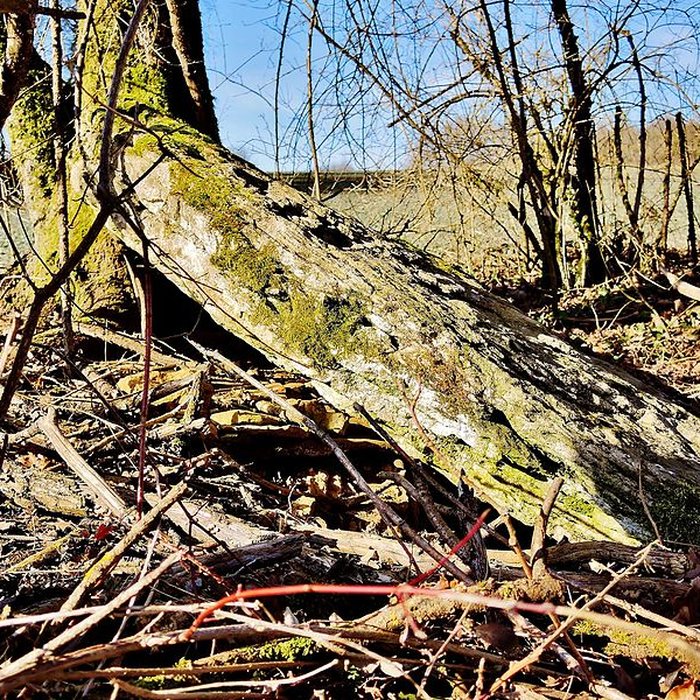 Photo de Grosse Pierre dÉchenoz-le-Sec