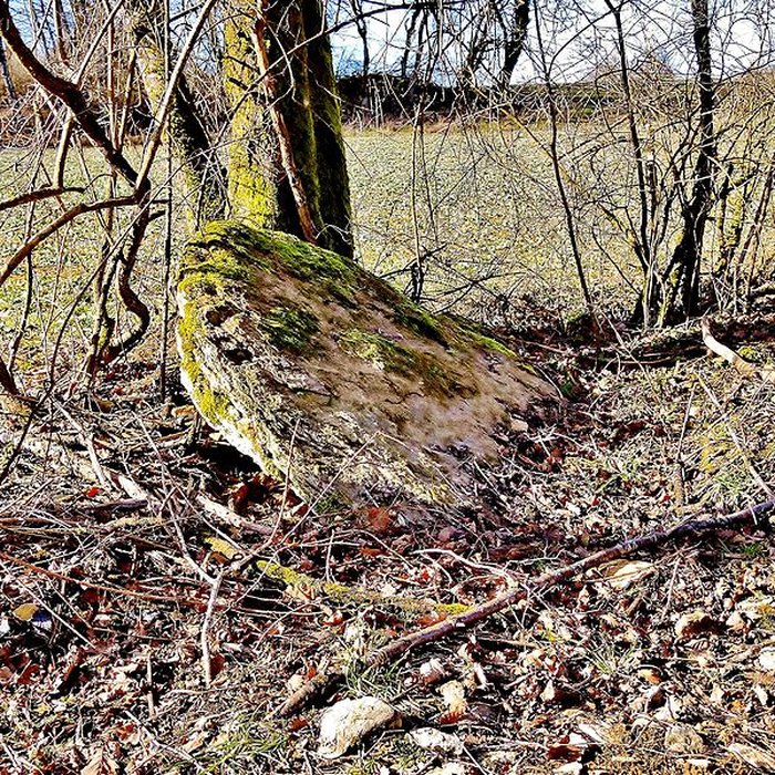 Photo de Grosse Pierre dÉchenoz-le-Sec