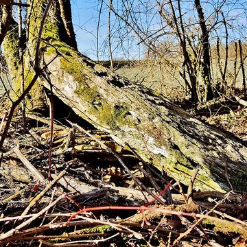 Grosse Pierre dÉchenoz-le-Sec