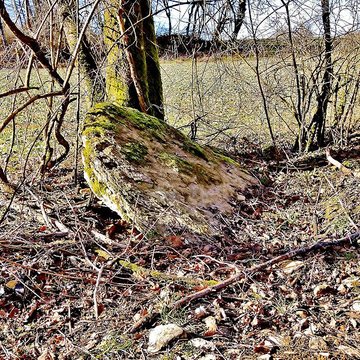 Grosse Pierre dÉchenoz-le-Sec