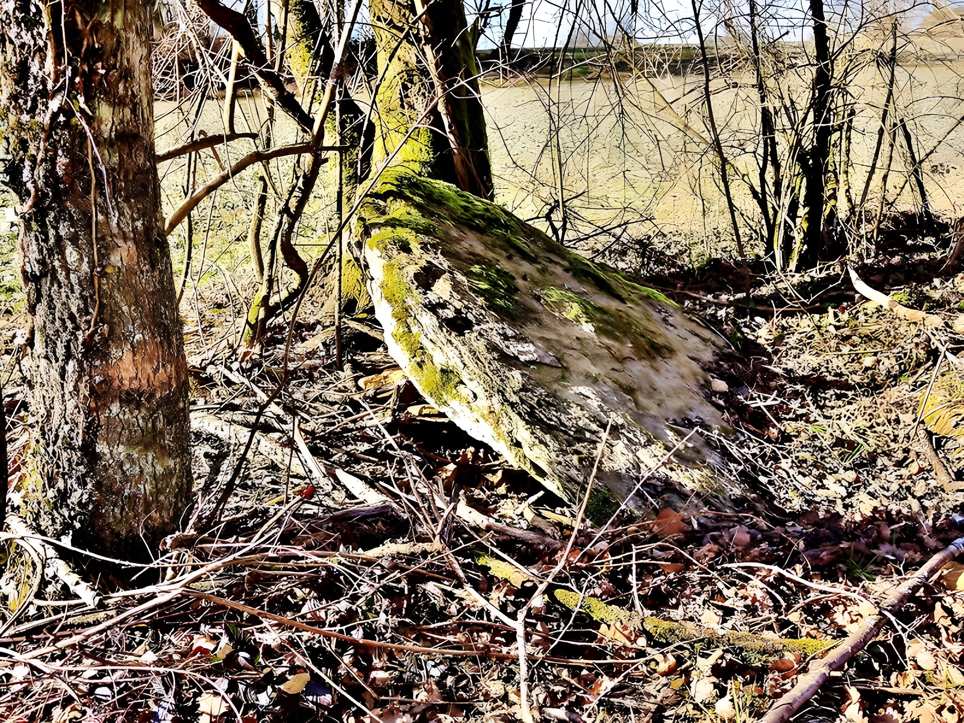 Grosse Pierre d'Échenoz-le-Sec 