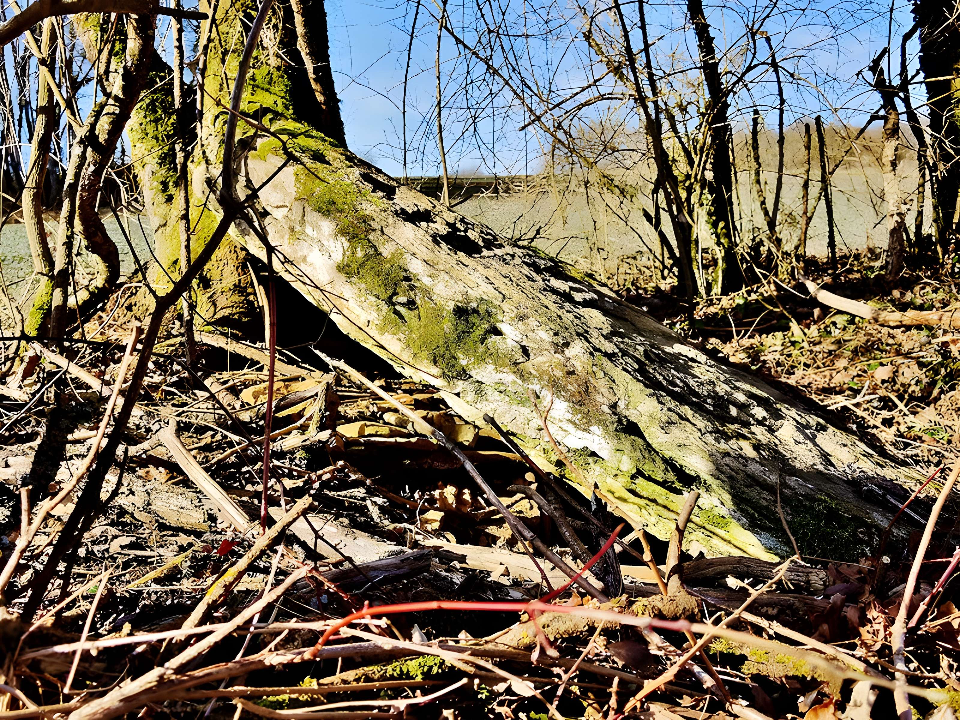 Grosse Pierre d'Échenoz-le-Sec