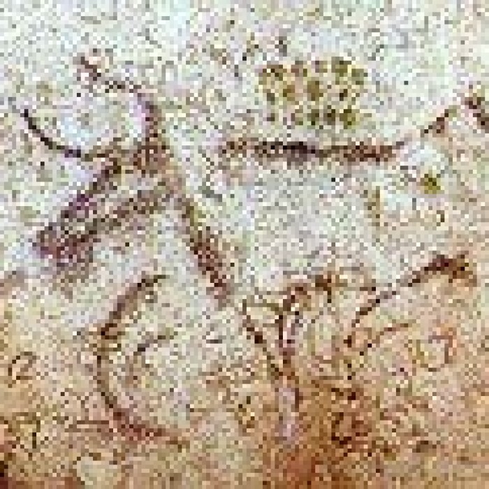 Photo de Grotte ornée dite grotte de la Tête du Lion