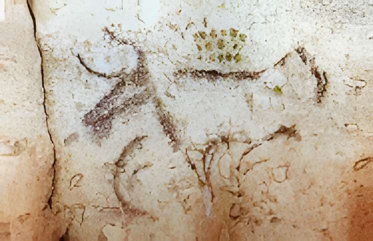 Grotte de la Tête du Lion à Bidon 