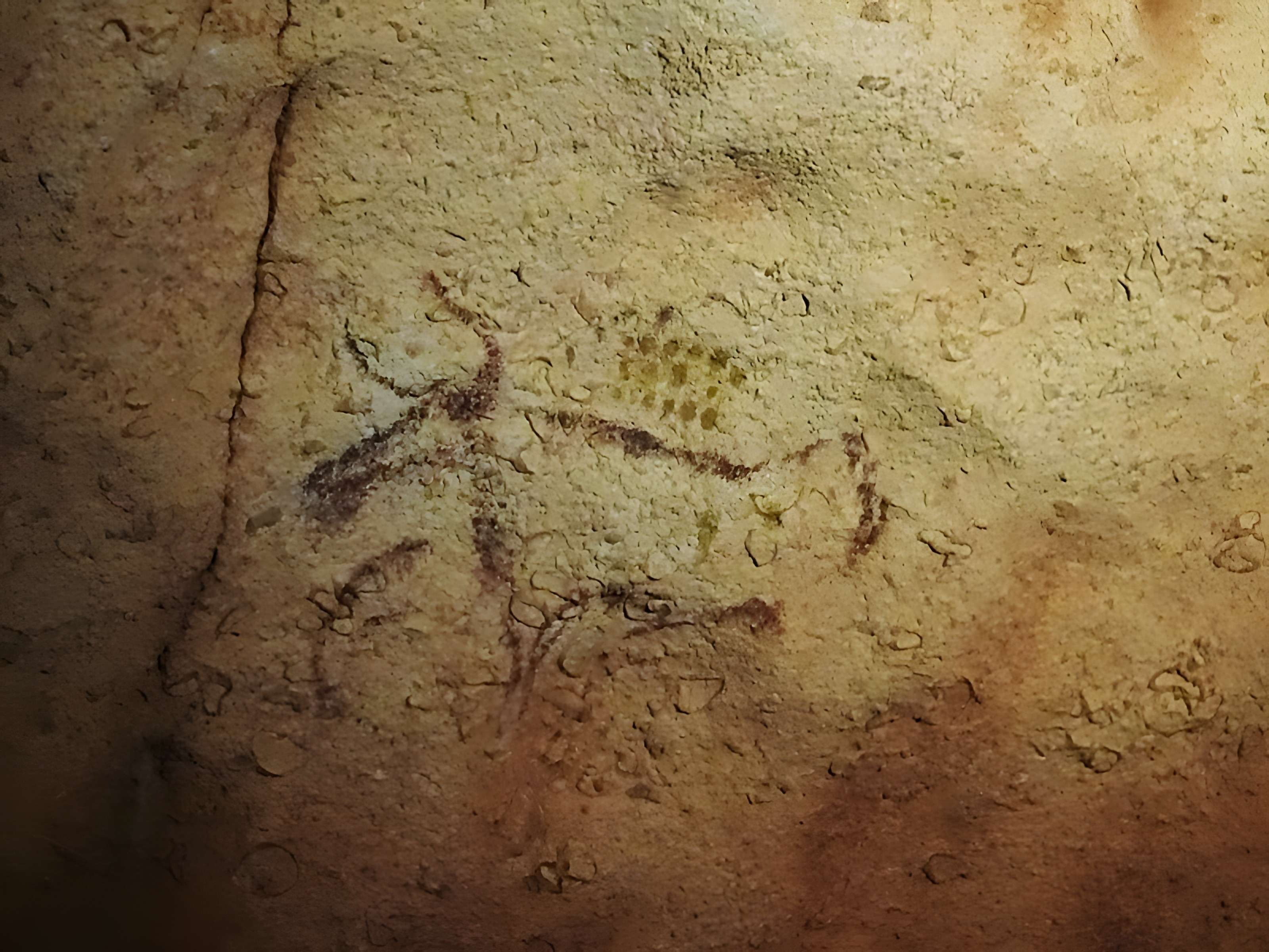 Grotte ornée dite grotte de la Tête du Lion