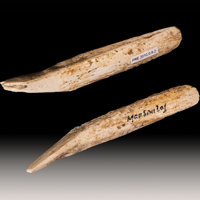 Photo de Grotte de Marsoulas