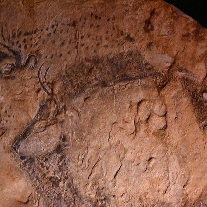 Photo de Grotte de Marsoulas