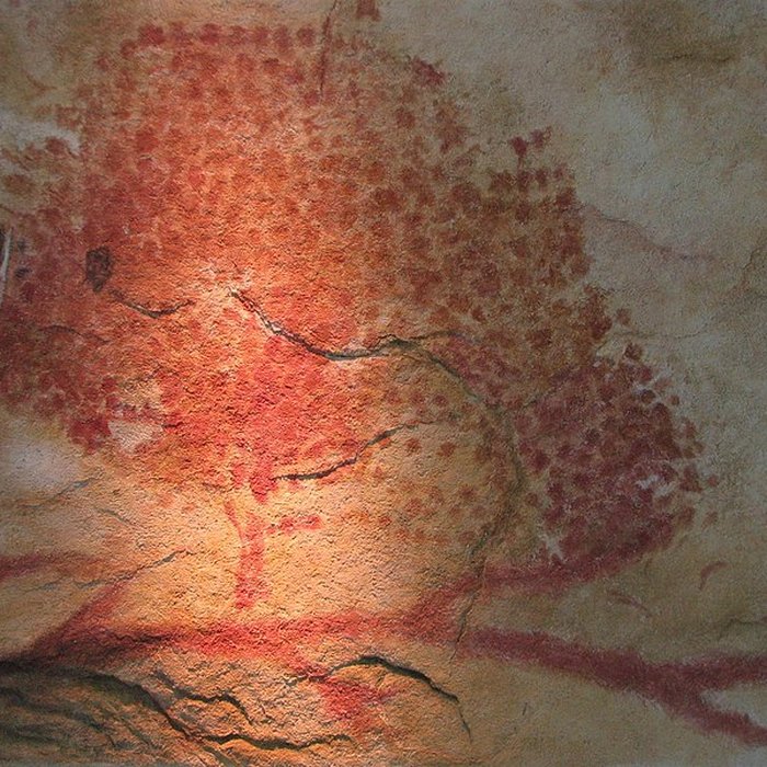 Photo de Grotte de Marsoulas