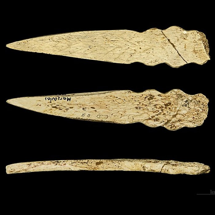 Photo de Grotte de Marsoulas