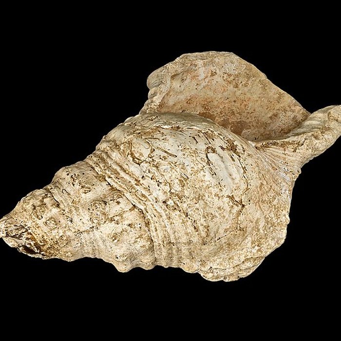 Photo de Grotte de Marsoulas