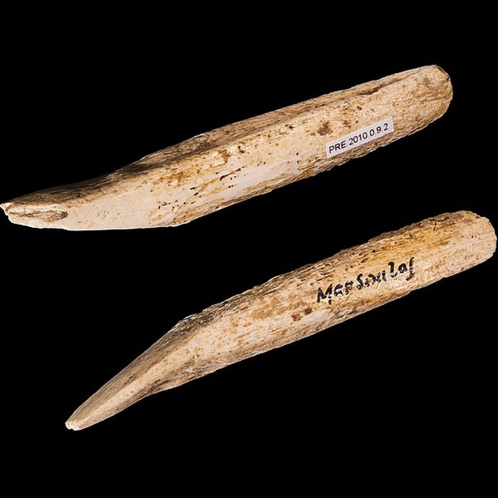 Photo de Grotte de Marsoulas