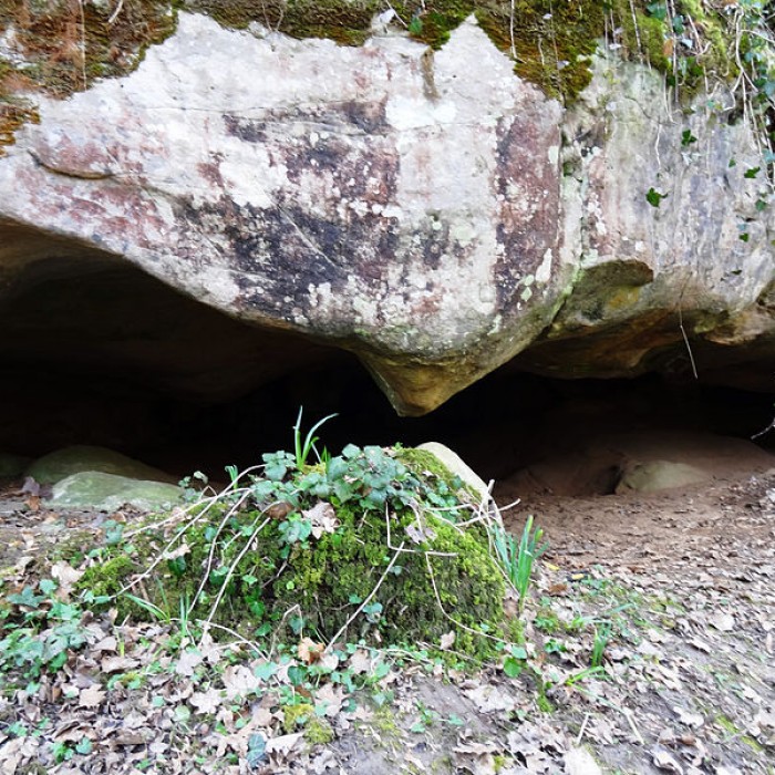 Photo de Grotte de Prinvaux de Boigneville