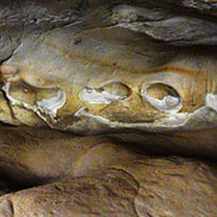 Photo de Grotte de Prinvaux de Boigneville