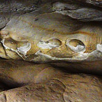 Grotte de Prinvaux de Boigneville