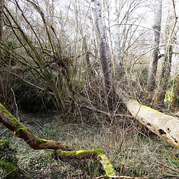 Grotte de Prinvaux de Boigneville