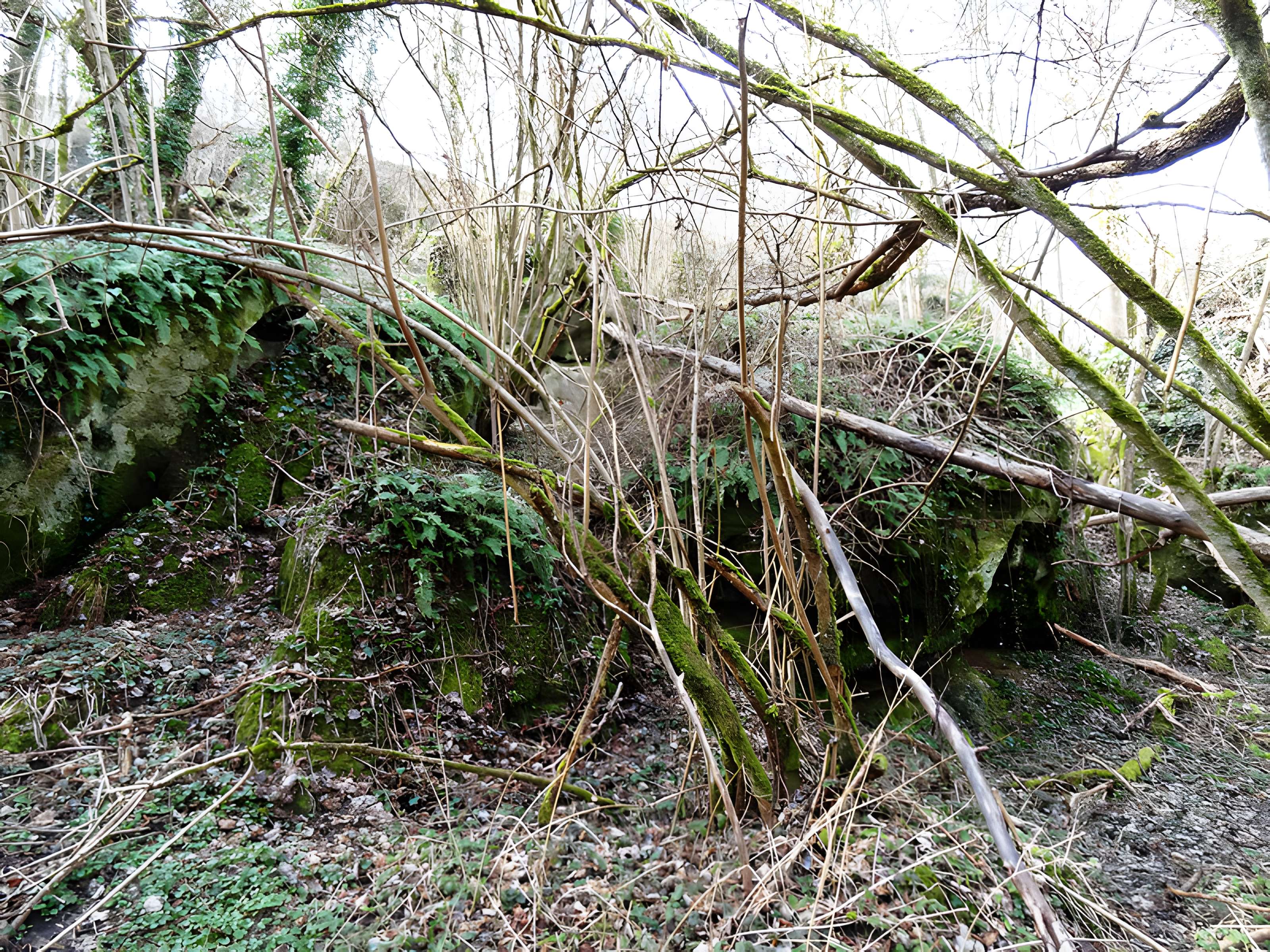 Grotte de Prinvaux de Boigneville
