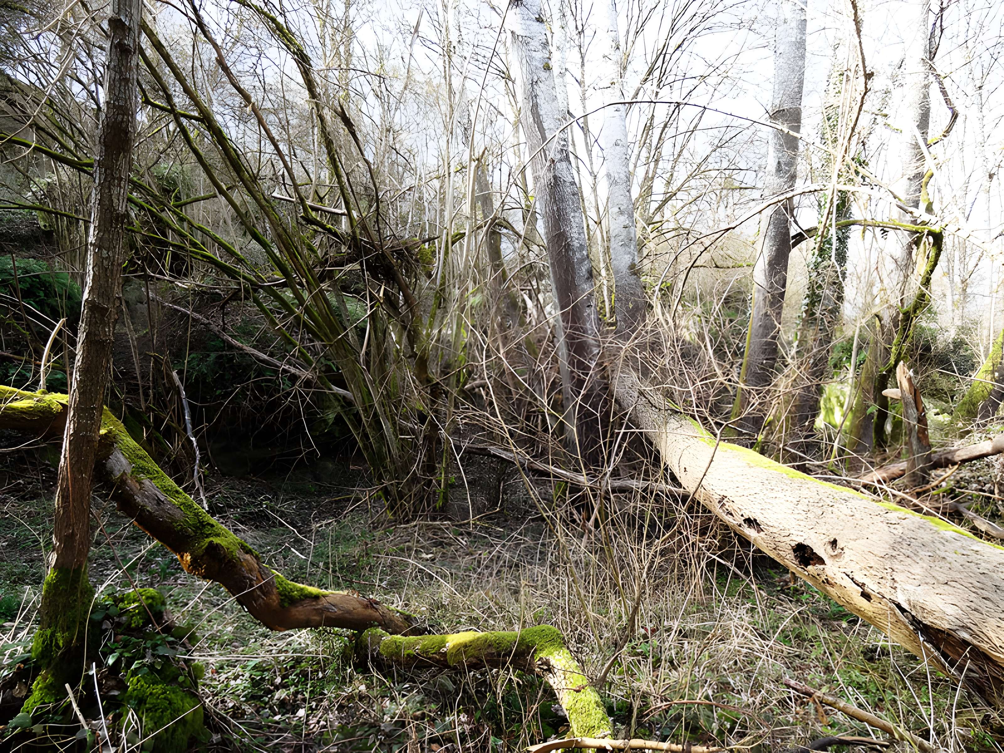 Grotte de Prinvaux de Boigneville