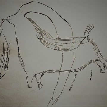 Grotte des Deux Ouvertures à Saint-Martin-dArdèche