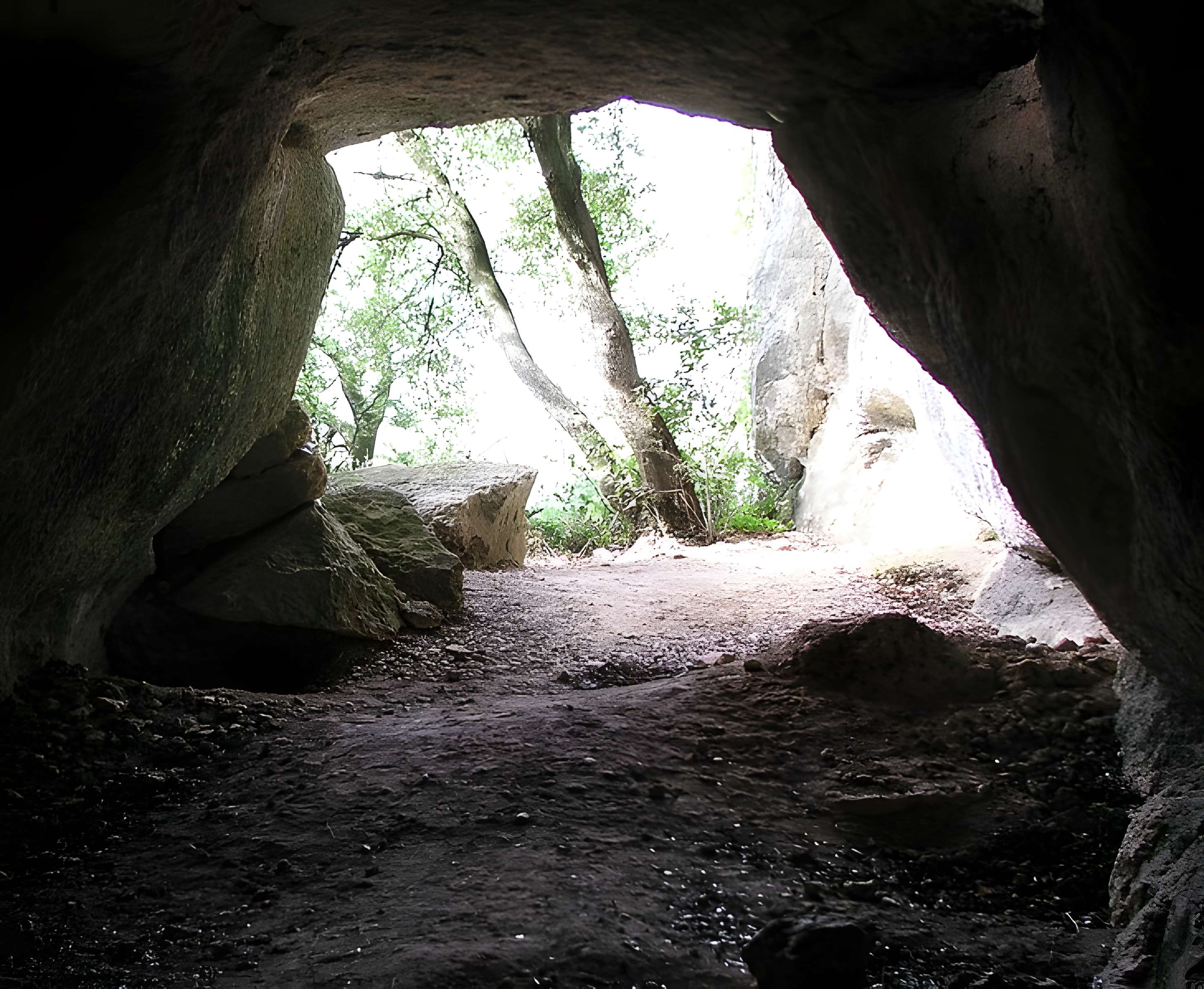 Grotte des Deux Ouvertures à Saint-Martin-d'Ardèche 