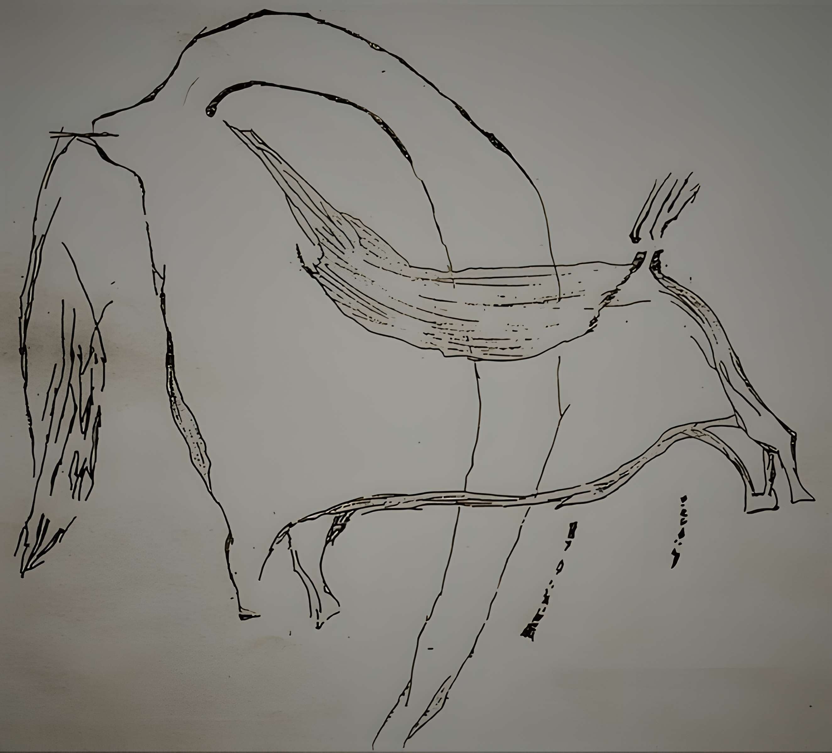 Grotte des Deux Ouvertures à Saint-Martin-d'Ardèche