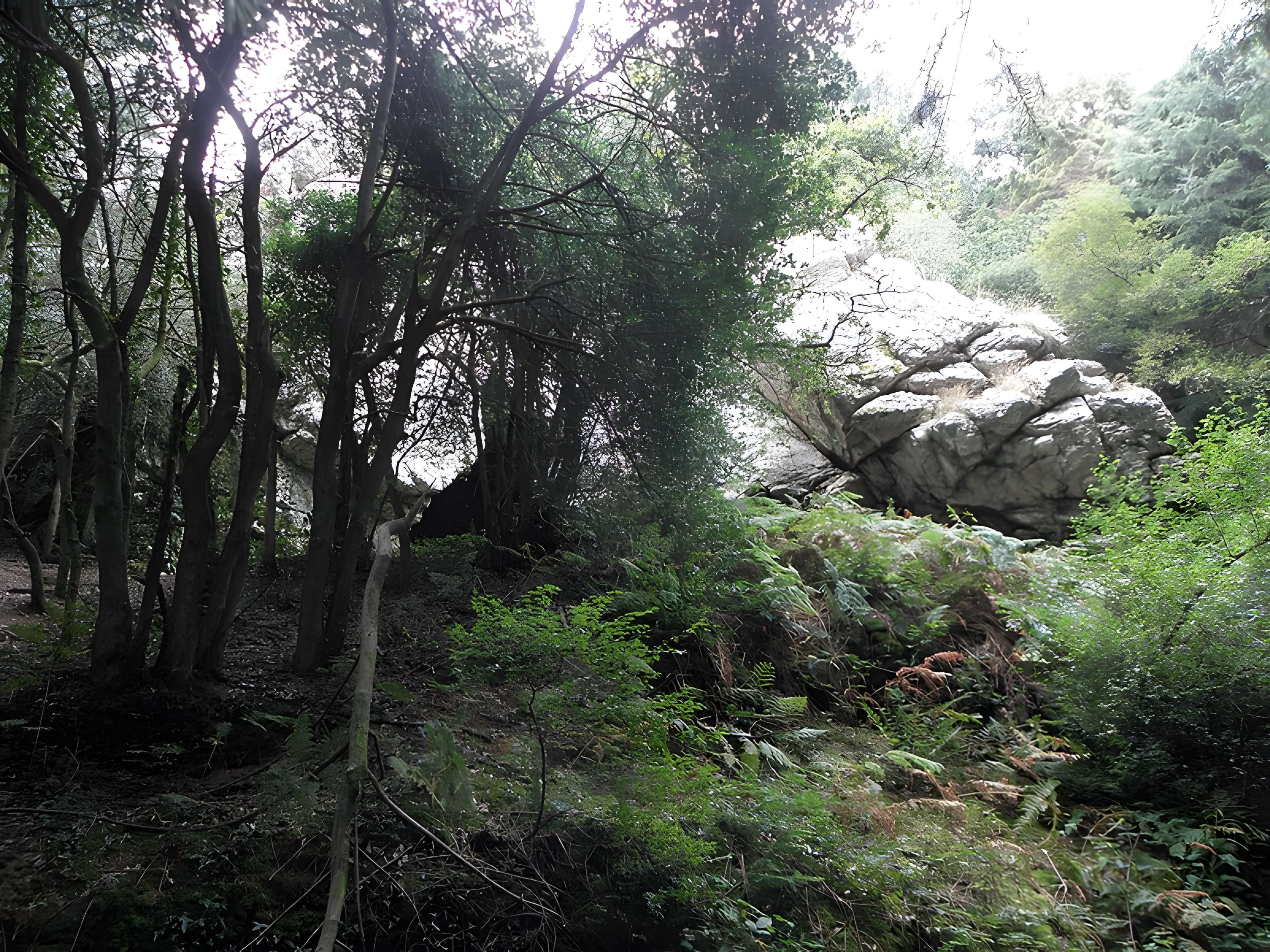 Grotte et rocher de Roc'h-Toul à Guiclan