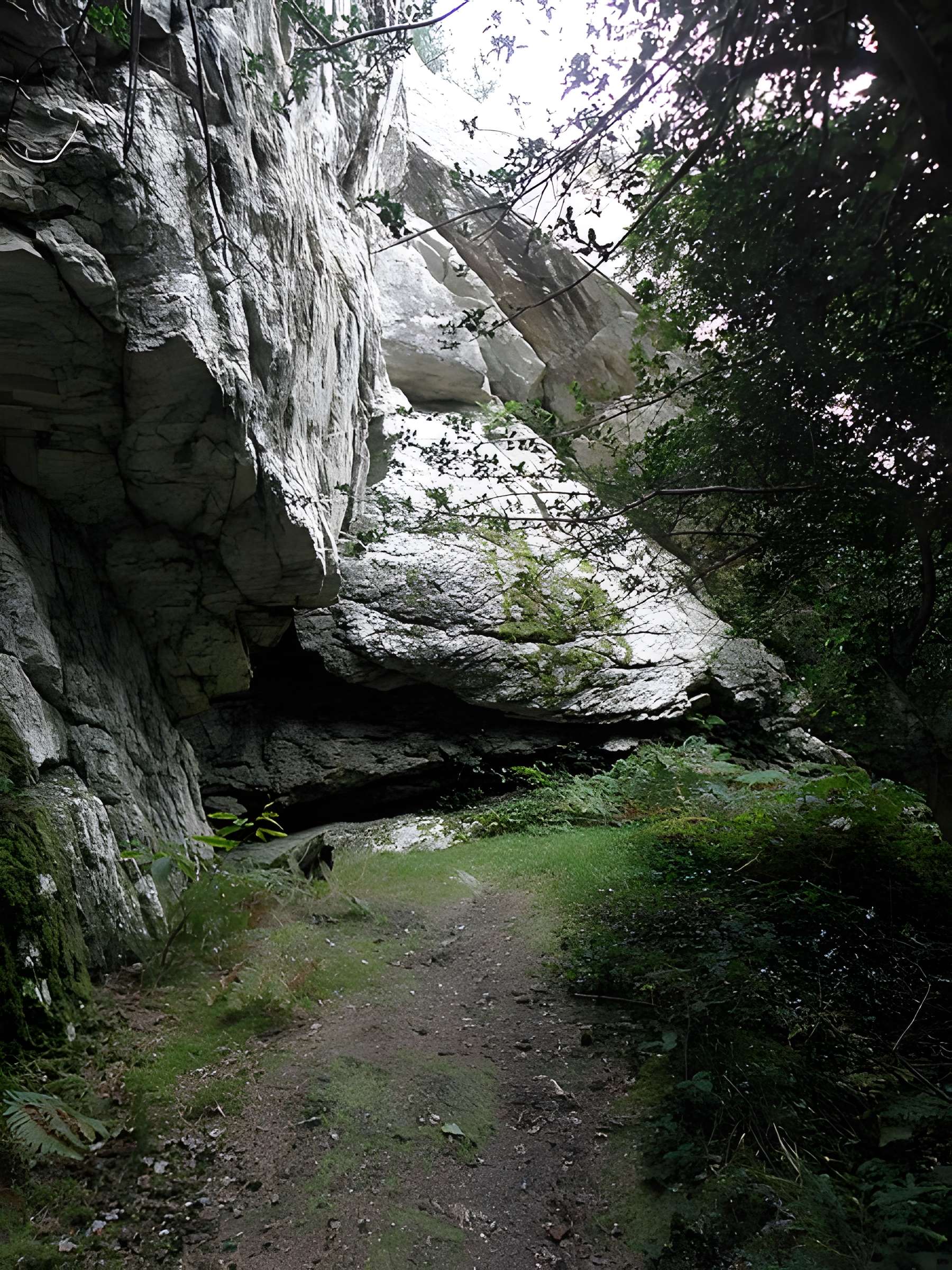 Grotte et rocher de Roc'h-Toul à Guiclan